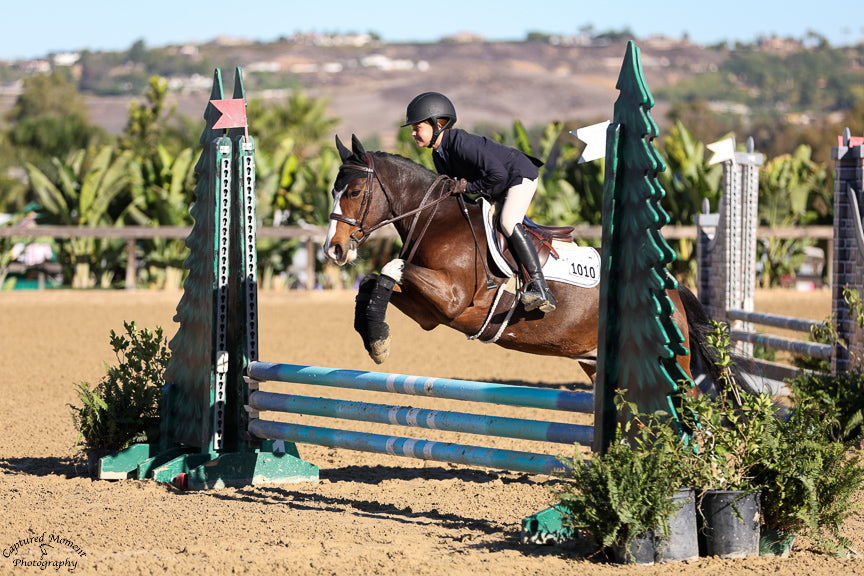 Girl on a jumping horse